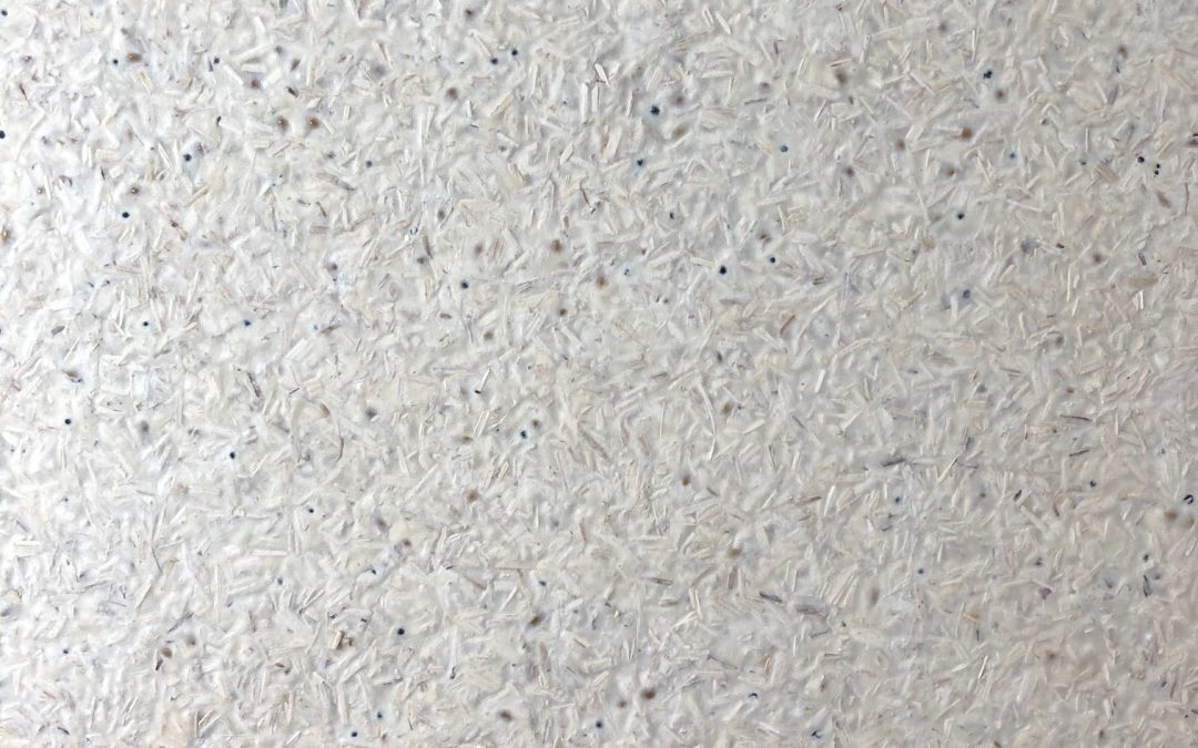 The Science Behind Mycelium: Nature’s Marvel