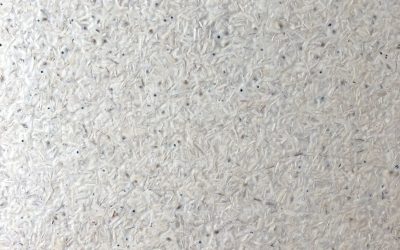 The Science Behind Mycelium: Nature’s Marvel