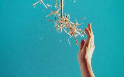 Biodesign with Mycelium: A natural solution for a sustainable future