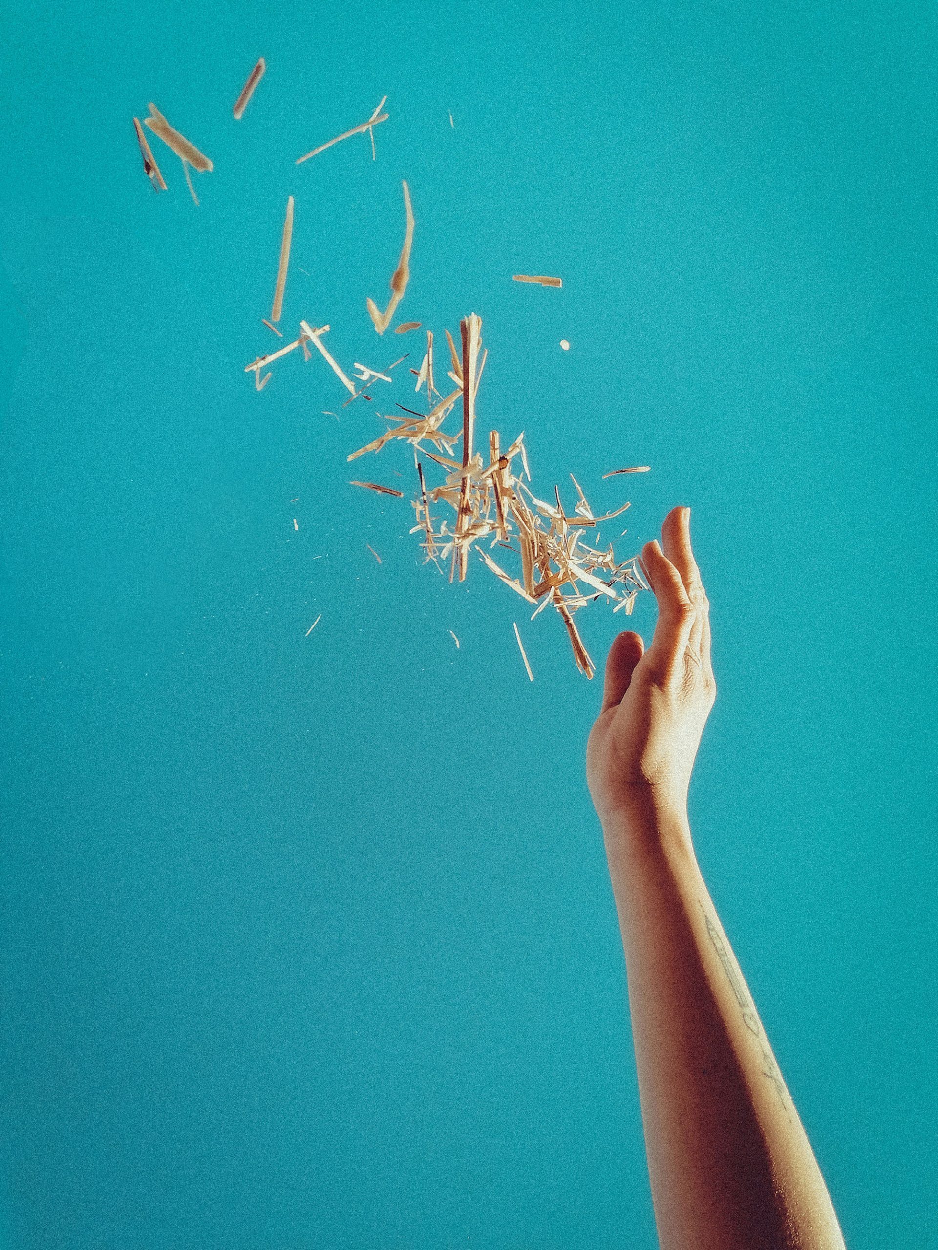 sindy-sussengut-v56HGeFXQE8-unsplash