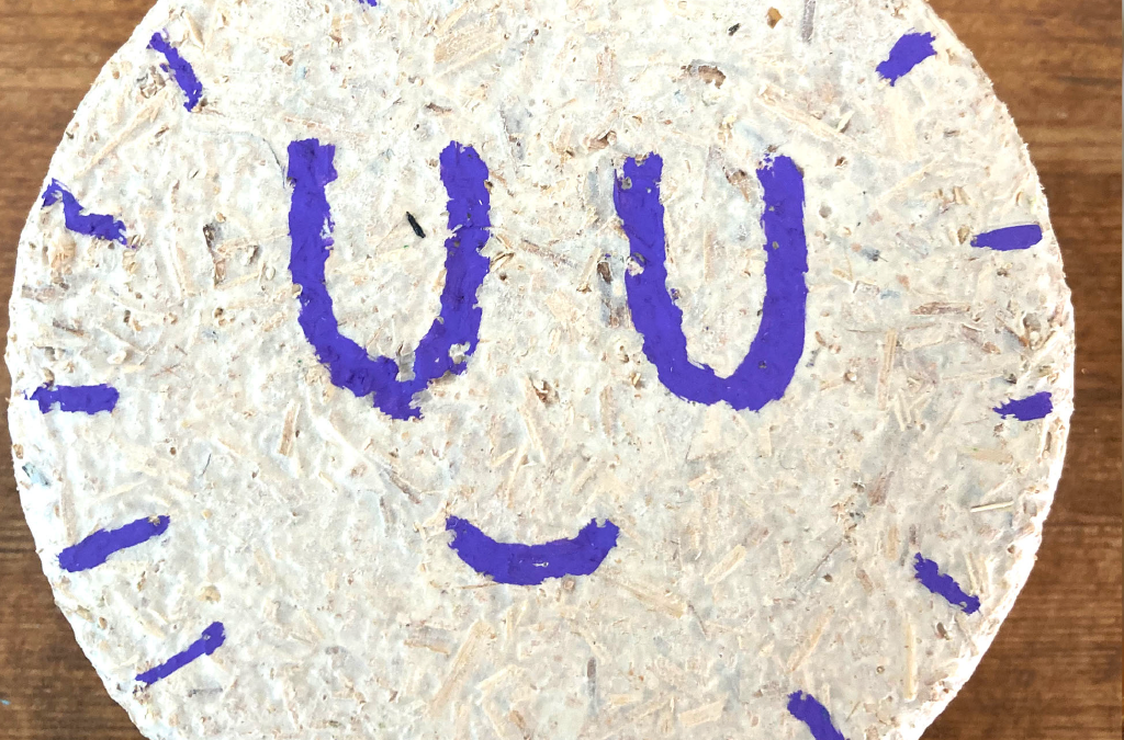 Transform Your Space with Mycelium Décor